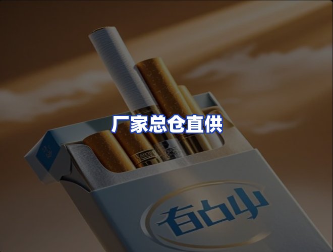 专业团队